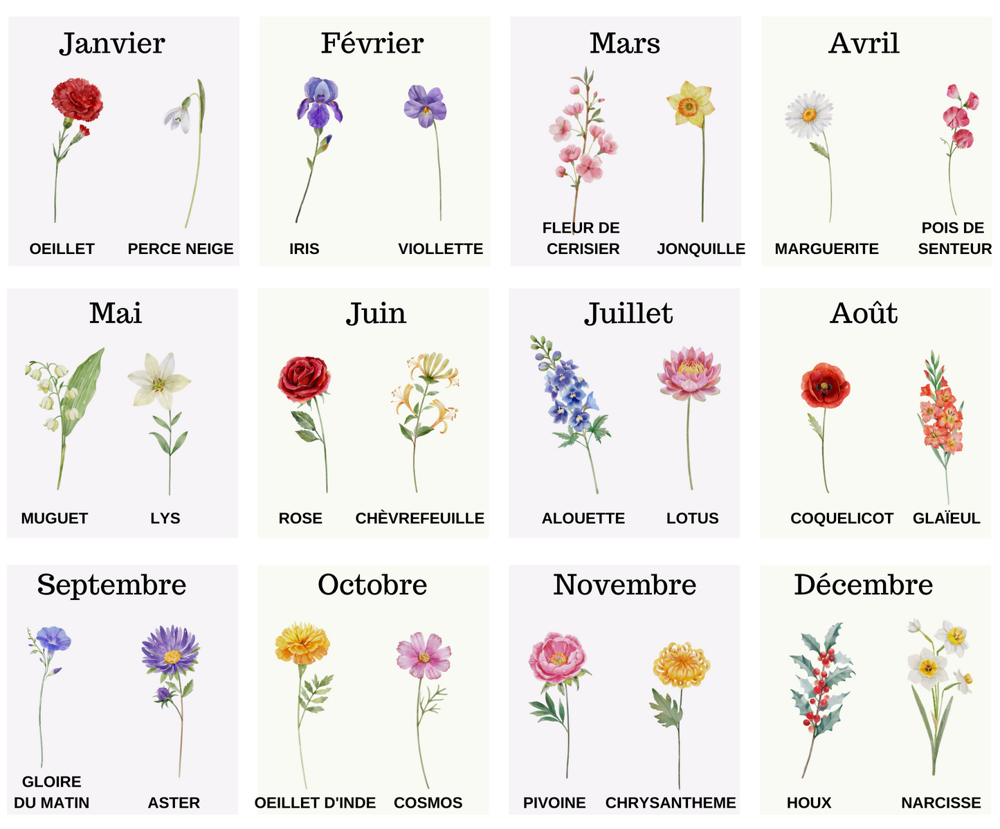 Pot de fleur 12 oz "Jardin de Mamie"