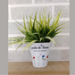 Pot de fleur 12 oz "Jardin de Mamie"